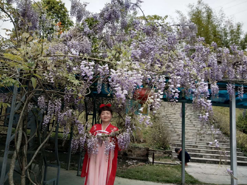 莉莉的第一张照片--尤溪征婚网