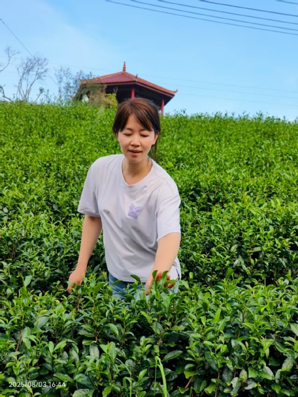 Q绮芳的第一张照片--尤溪征婚网